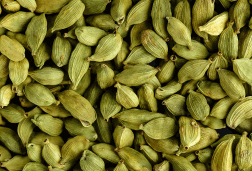 Cardamome