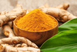 Curcuma