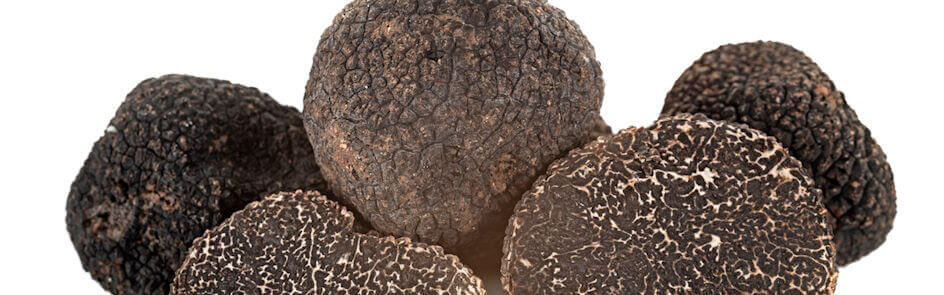 Truffe noire